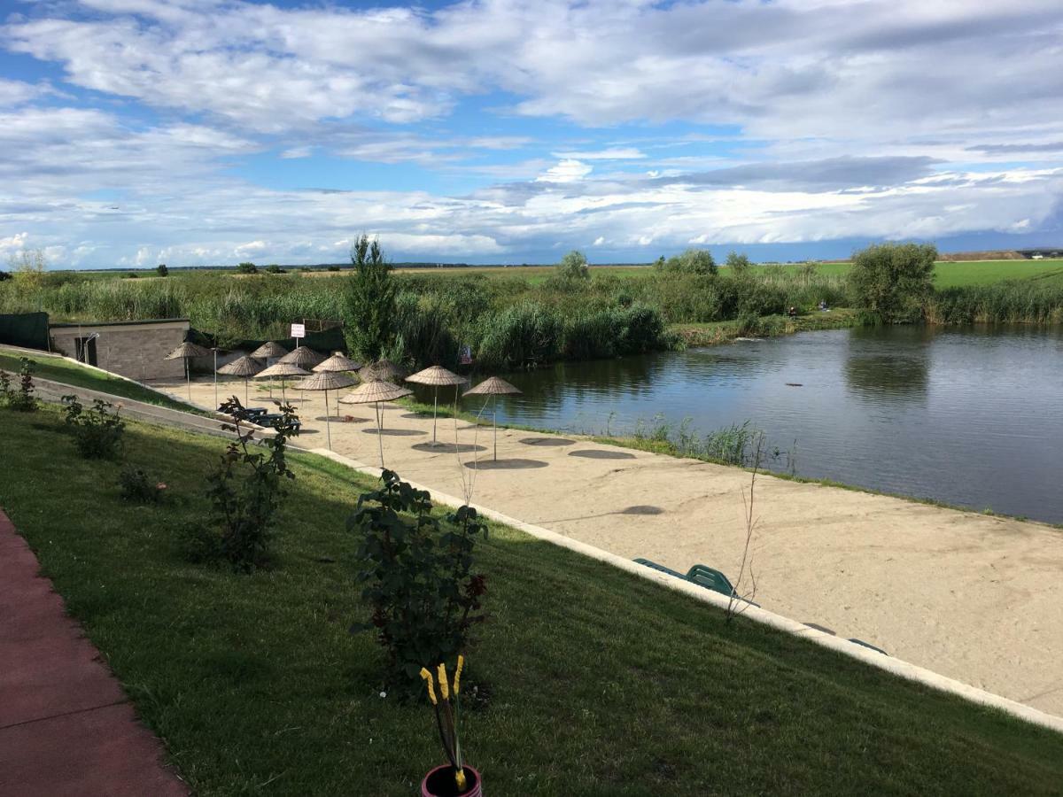 Luxury Apartment With Pool In North Bucharest Cretuleasca 外观 照片