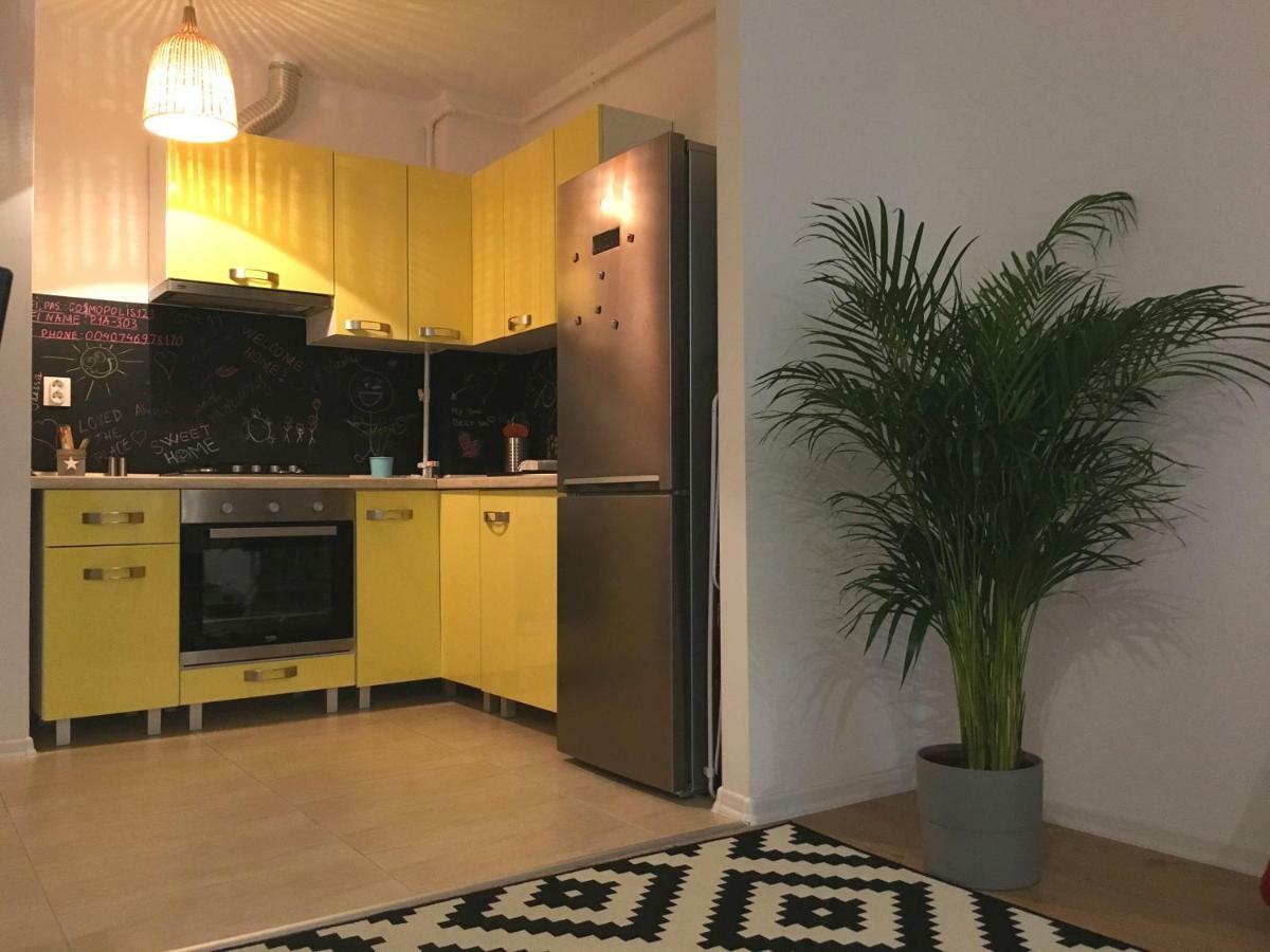 Luxury Apartment With Pool In North Bucharest Cretuleasca 外观 照片