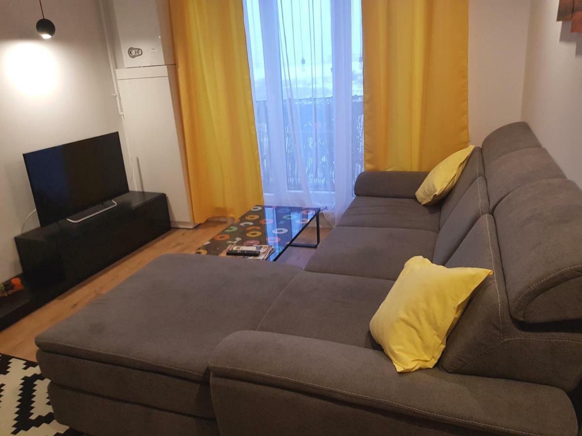 Luxury Apartment With Pool In North Bucharest Cretuleasca 外观 照片